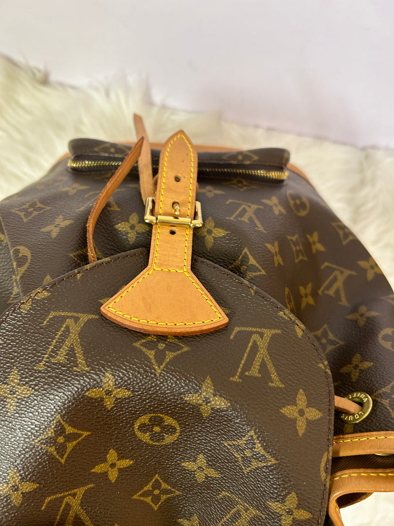 LOUIS VUITTON Montsouris MM Backpack