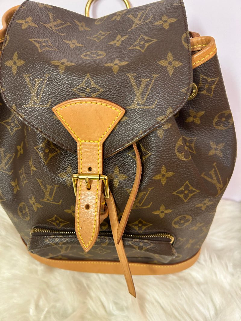 LOUIS VUITTON Montsouris MM Backpack