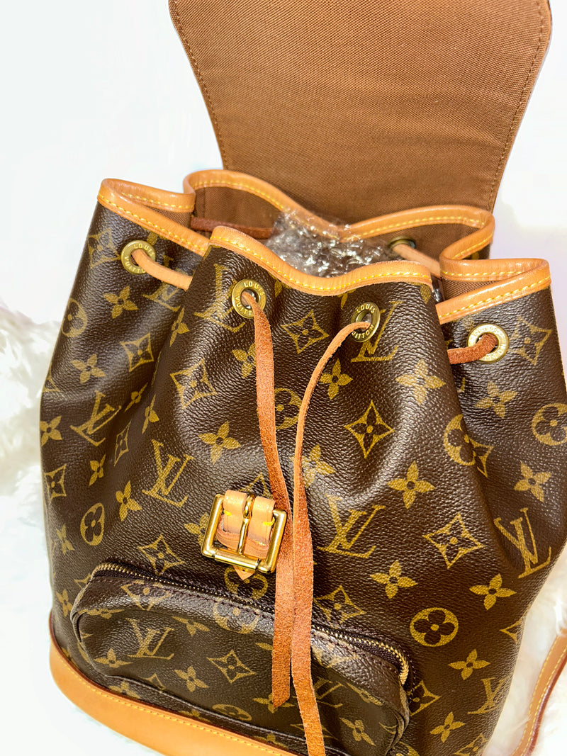 LOUIS VUITTON Montsouris MM Backpack