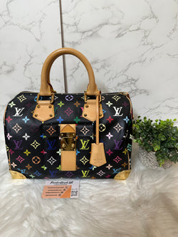 LOUIS VUITTON Speedy 30 Multi-Color