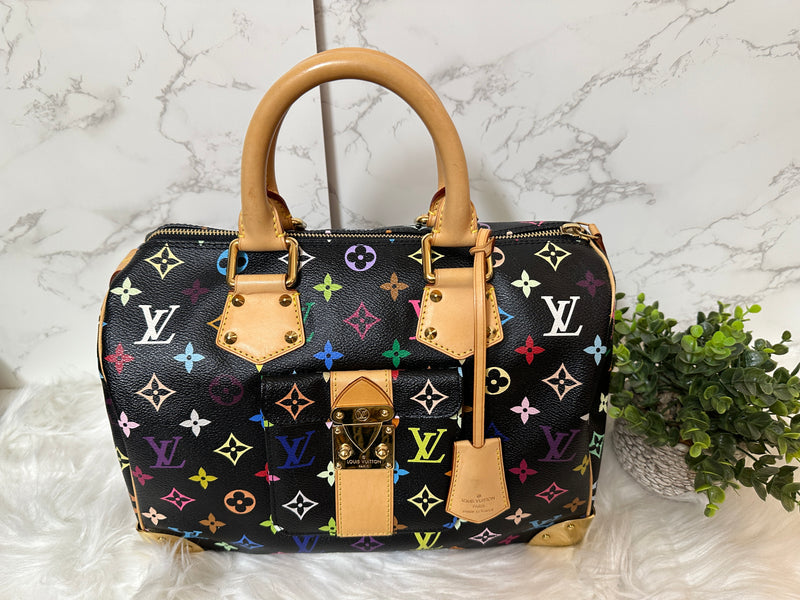 LOUIS VUITTON Speedy 30 Multi-Color