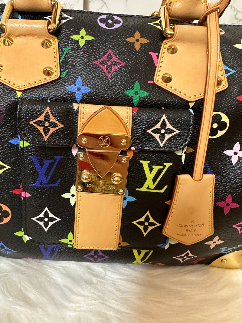 LOUIS VUITTON Speedy 30 Multi-Color