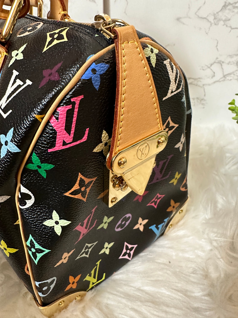 LOUIS VUITTON Speedy 30 Multi-Color