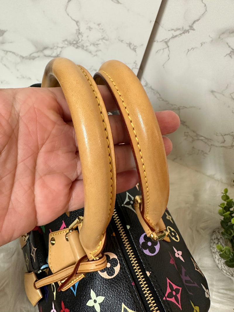 LOUIS VUITTON Speedy 30 Multi-Color