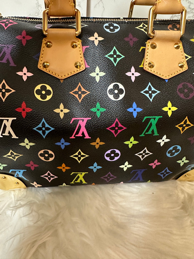 LOUIS VUITTON Speedy 30 Multi-Color