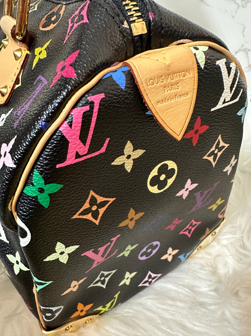 LOUIS VUITTON Speedy 30 Multi-Color