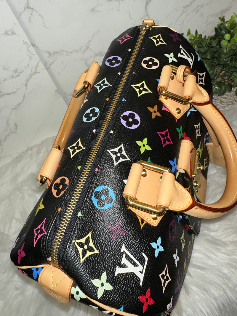 LOUIS VUITTON Speedy 30 Multi-Color