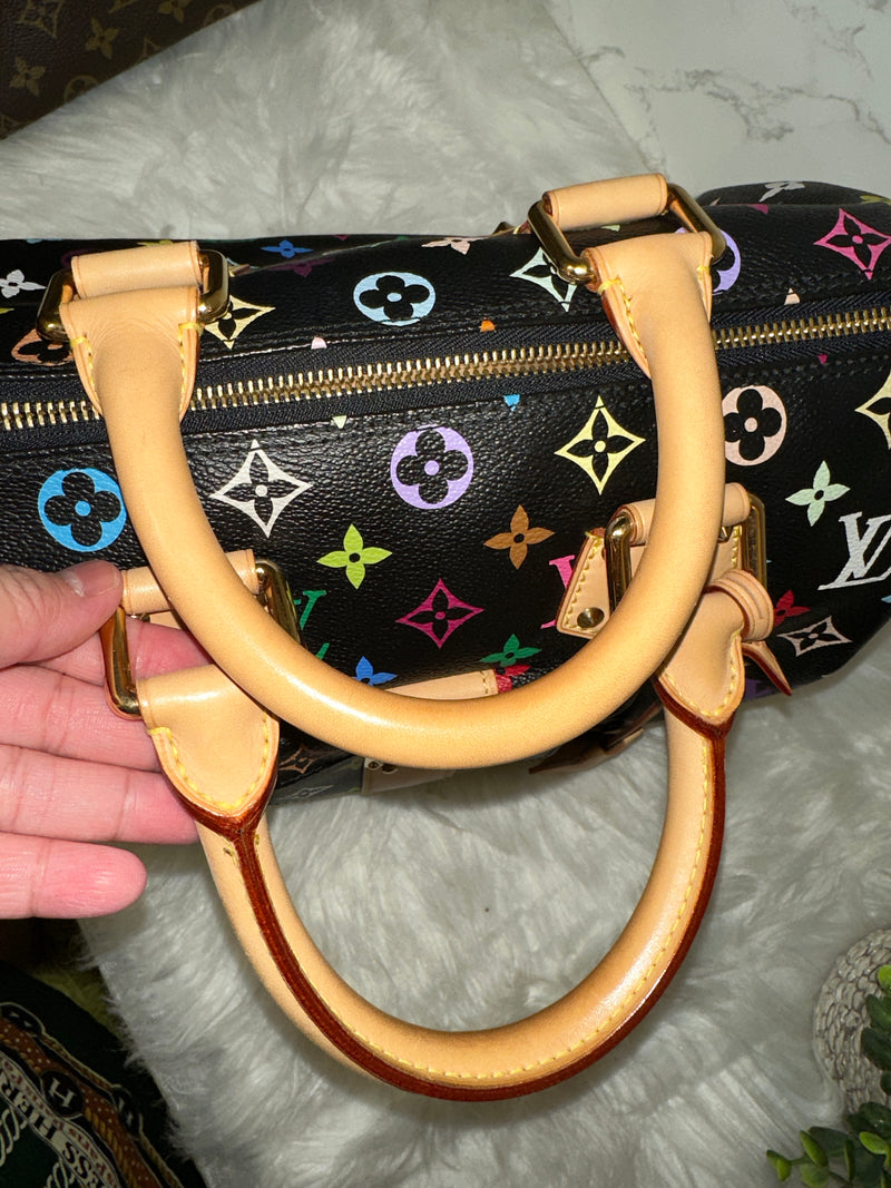 LOUIS VUITTON Speedy 30 Multi-Color