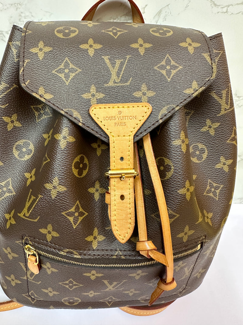 LOUIS VUITTON Monogram Canvas Montsouris MM