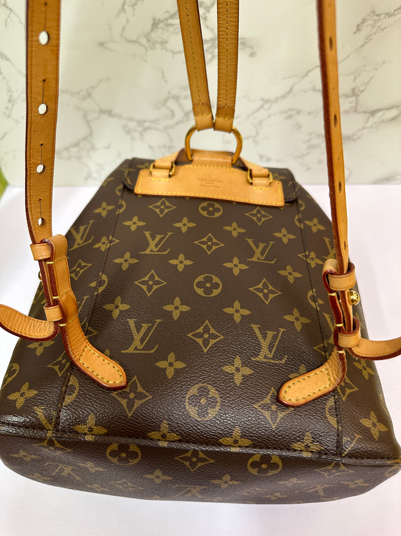 LOUIS VUITTON Monogram Canvas Montsouris MM