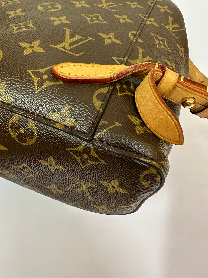 LOUIS VUITTON Monogram Canvas Montsouris MM