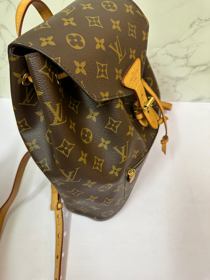 LOUIS VUITTON Monogram Canvas Montsouris MM