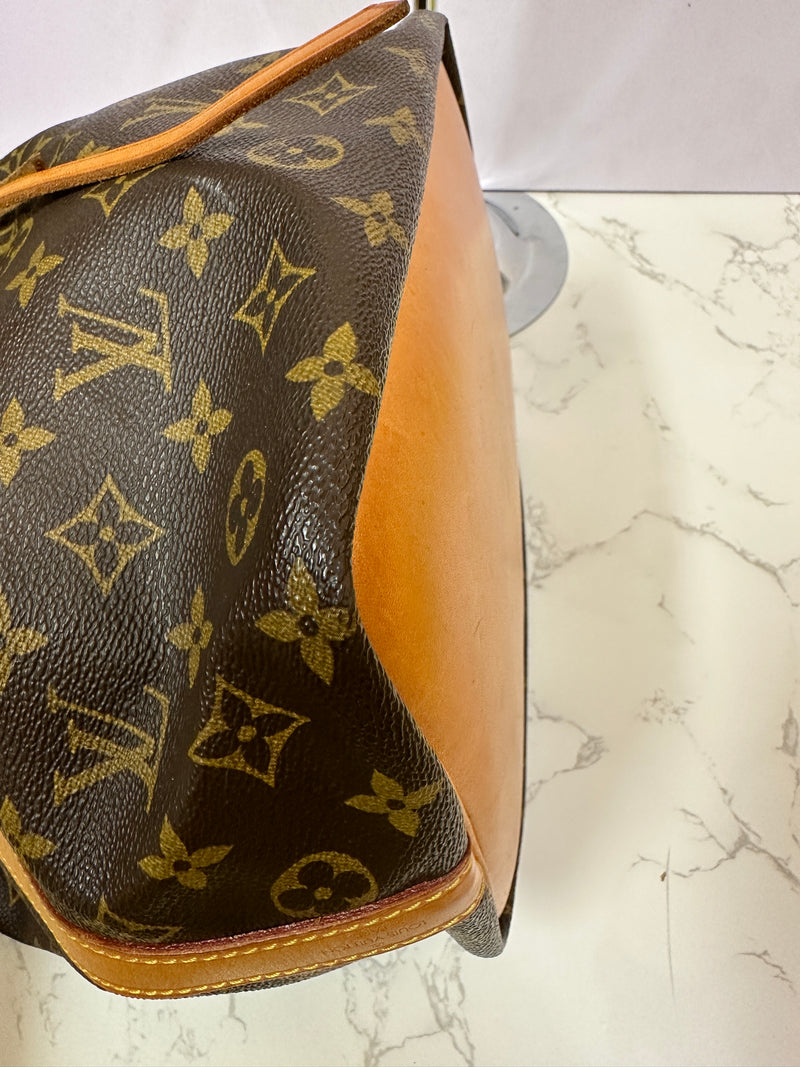 LOUIS VUITTON Monogram Canvas Petit Noe