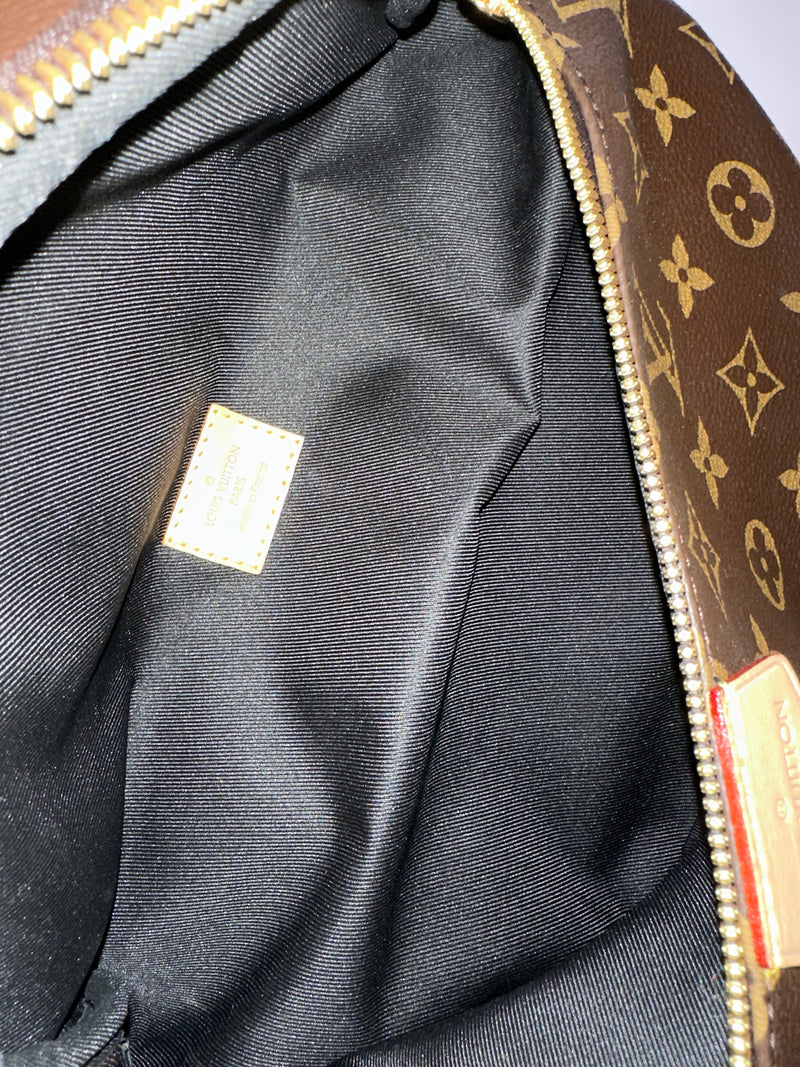 LOUIS VUITTON Monogram Canvas Bumbag