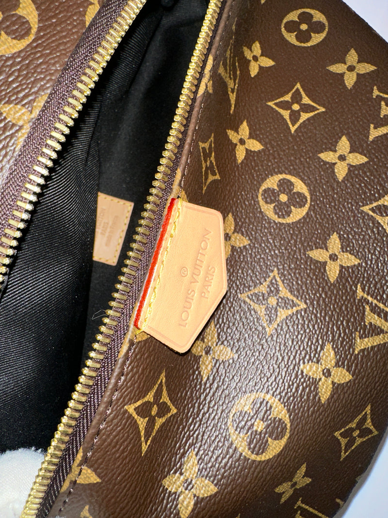 LOUIS VUITTON Monogram Canvas Bumbag