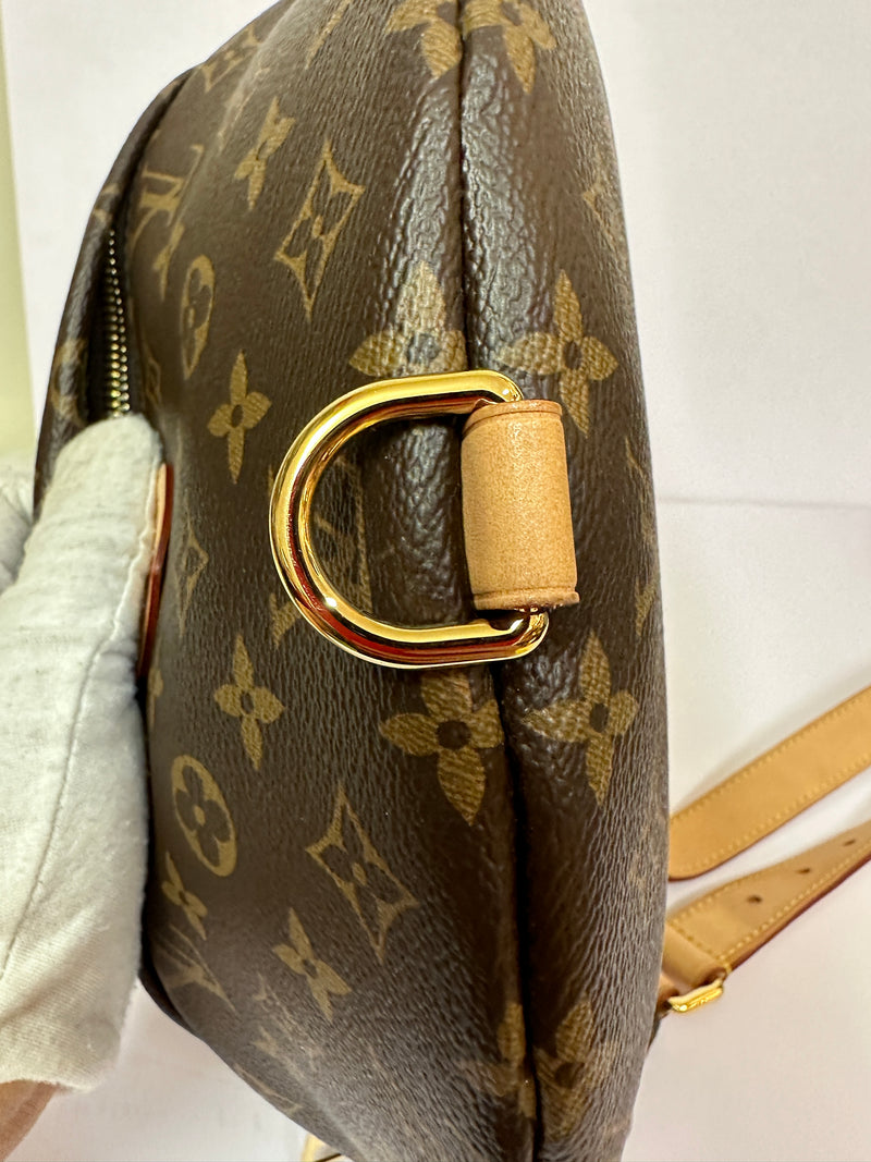 LOUIS VUITTON Monogram Canvas Bumbag