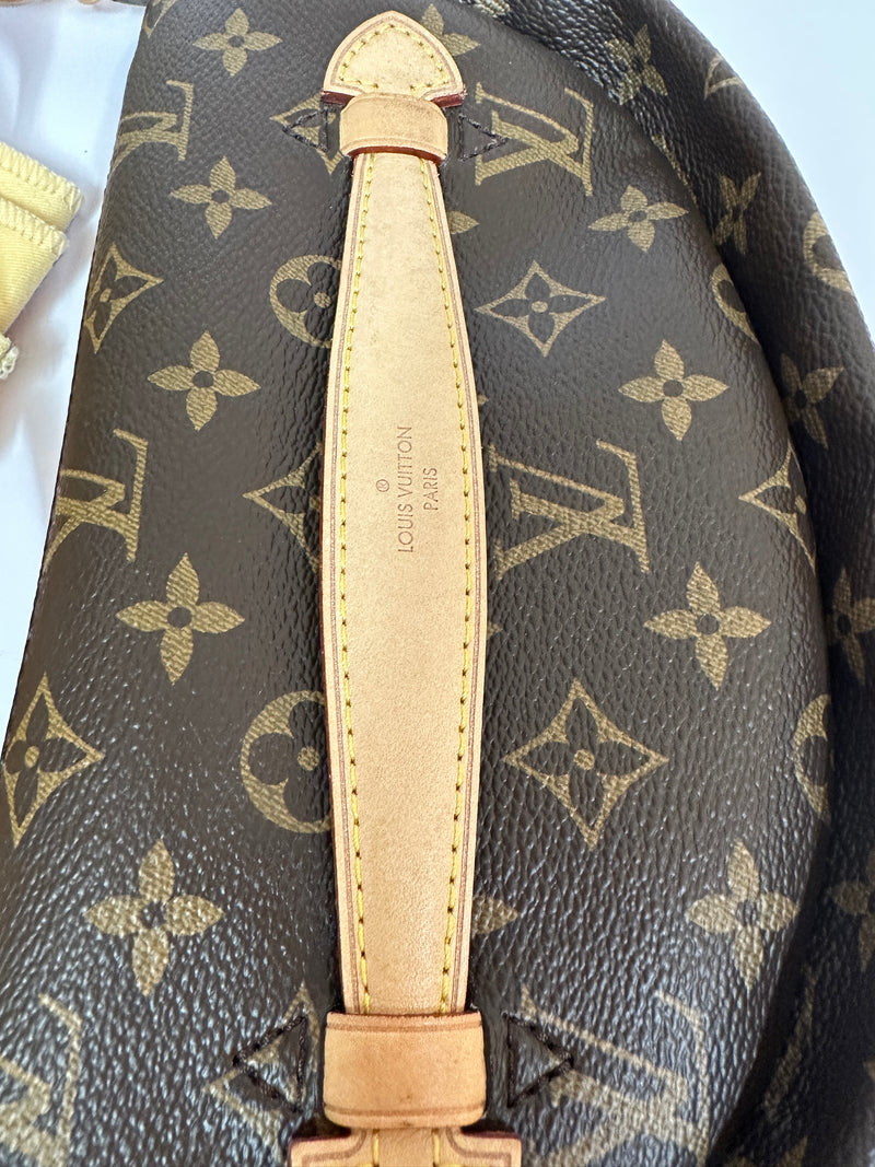 LOUIS VUITTON Monogram Canvas Bumbag