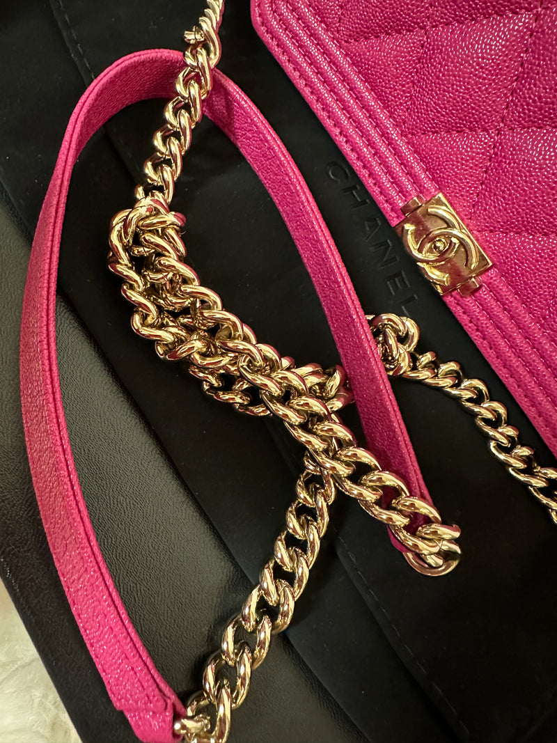 CHANEL Leboy WOC - Pink