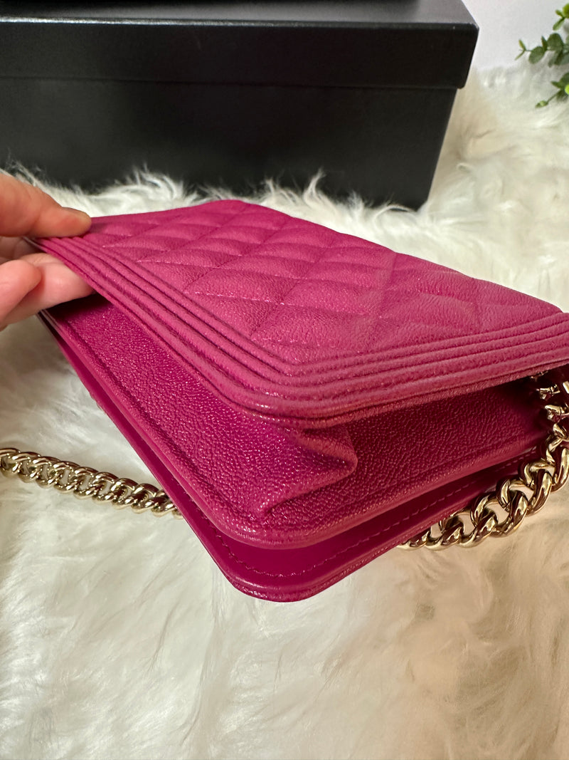 CHANEL Leboy WOC - Pink