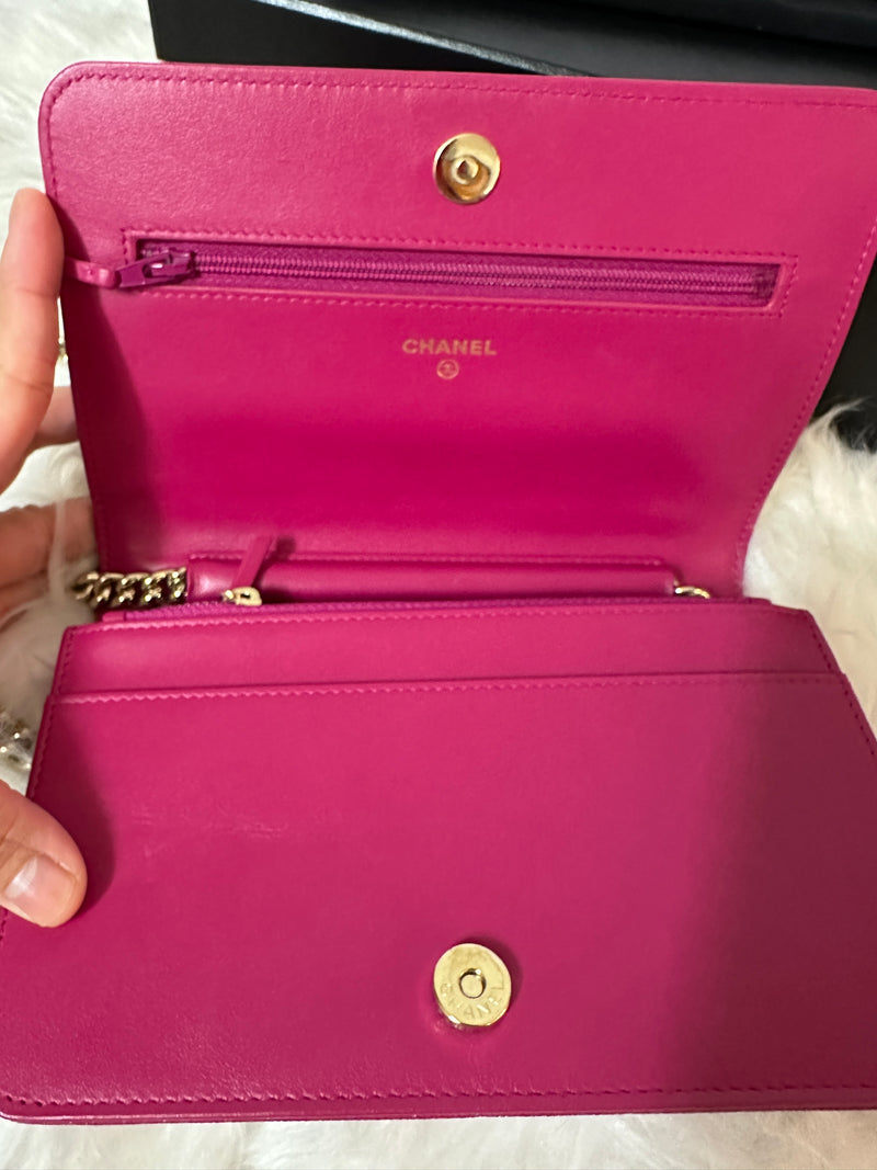 CHANEL Leboy WOC - Pink