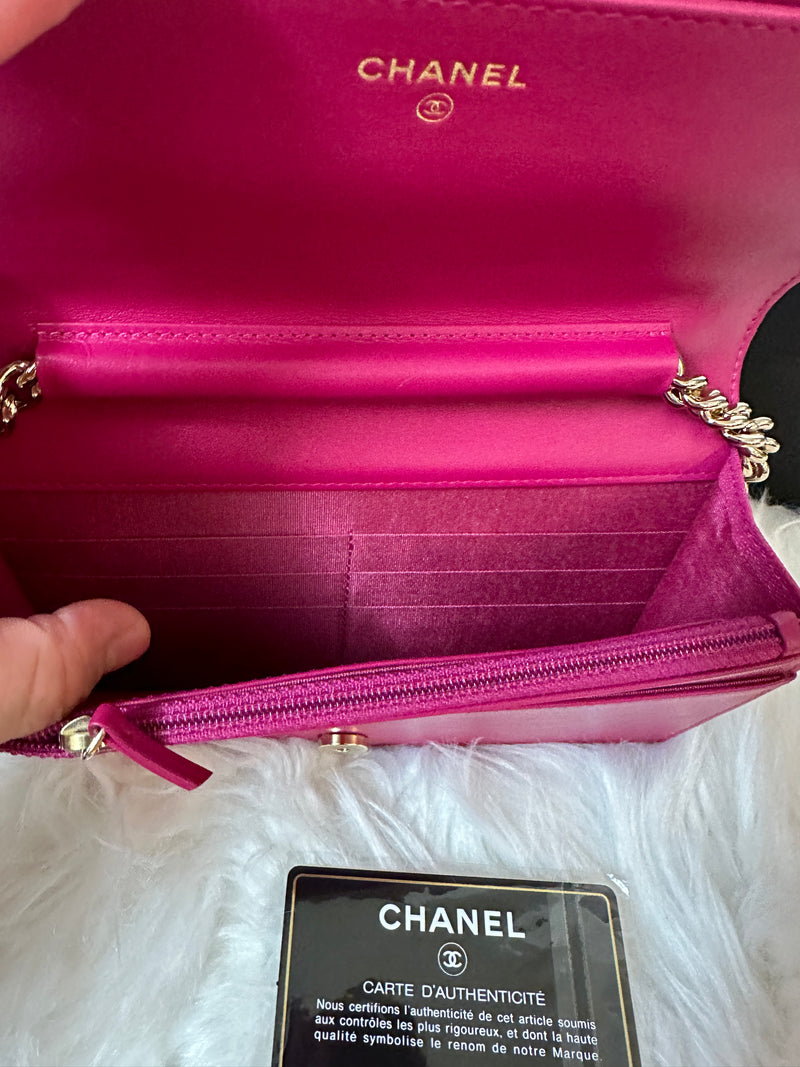 CHANEL Leboy WOC - Pink