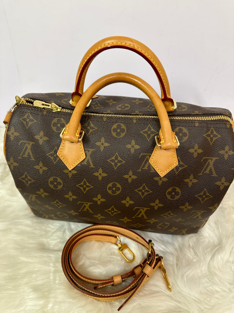 LOUIS VUITTON Speedy 30 Monogram