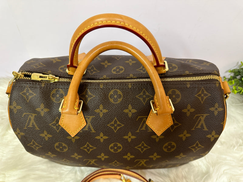 LOUIS VUITTON Speedy 30 Monogram