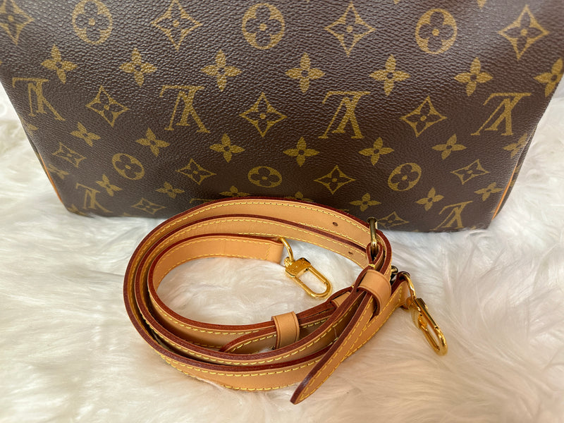 LOUIS VUITTON Speedy 30 Monogram