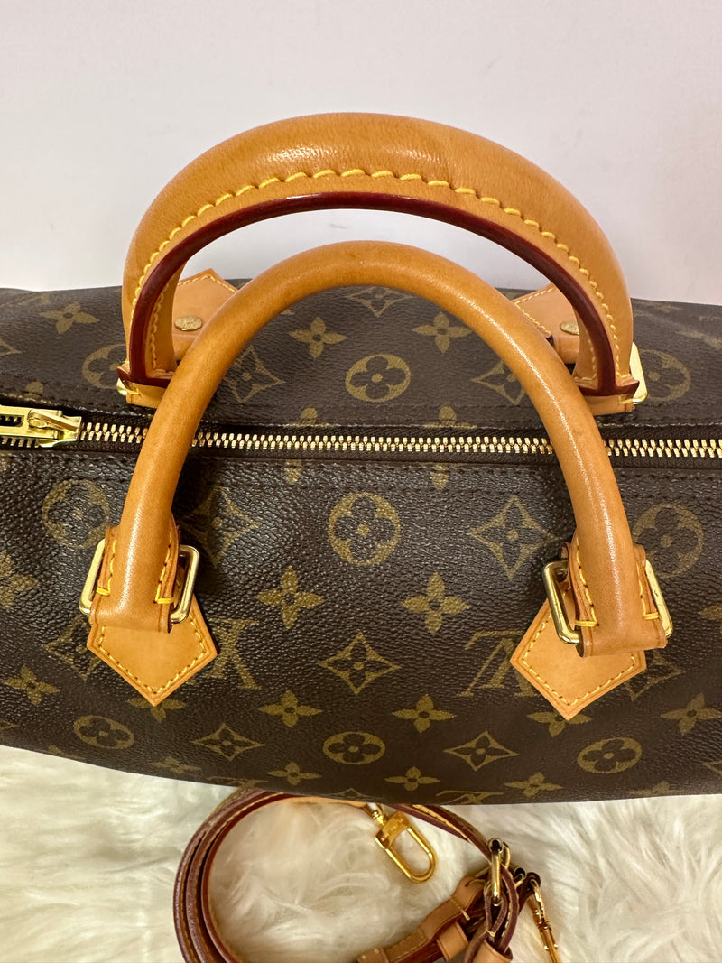 LOUIS VUITTON Speedy 30 Monogram