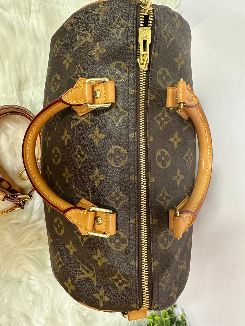 LOUIS VUITTON Speedy 30 Monogram