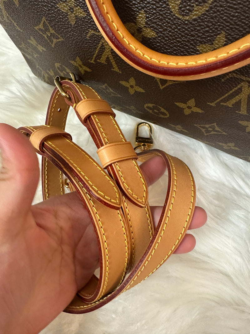 LOUIS VUITTON Speedy 30 Monogram