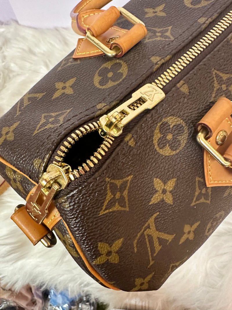 LOUIS VUITTON Speedy 30 Monogram