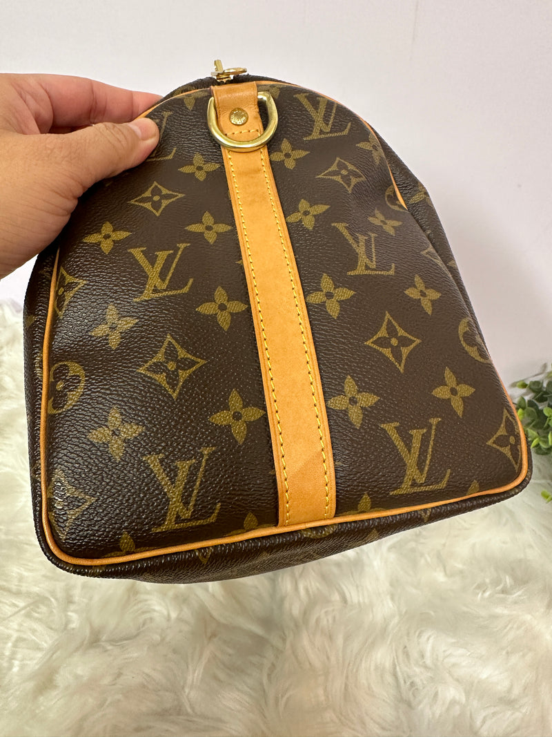 LOUIS VUITTON Speedy 30 Monogram