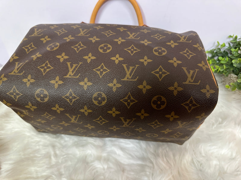 LOUIS VUITTON Speedy 30 Monogram