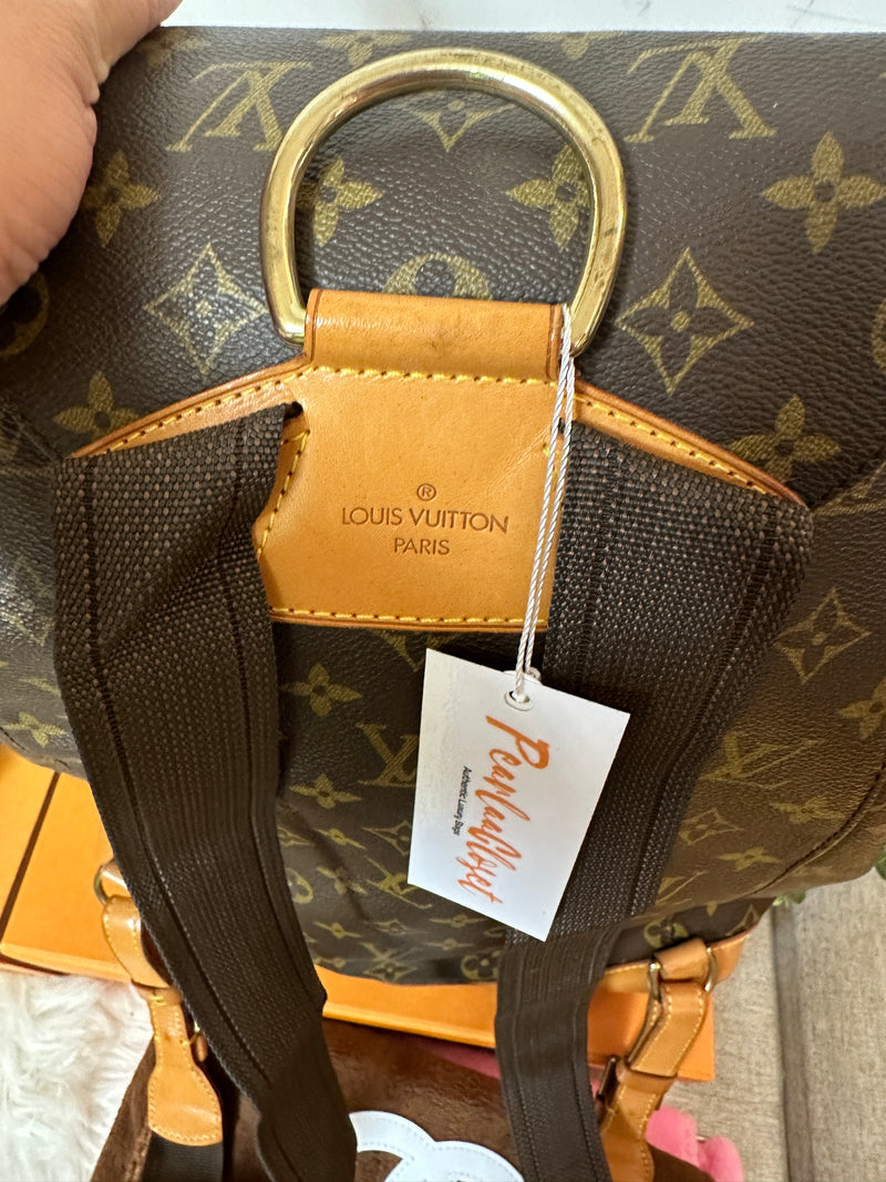 LOUIS VUITTON Monogram Montsouris GM