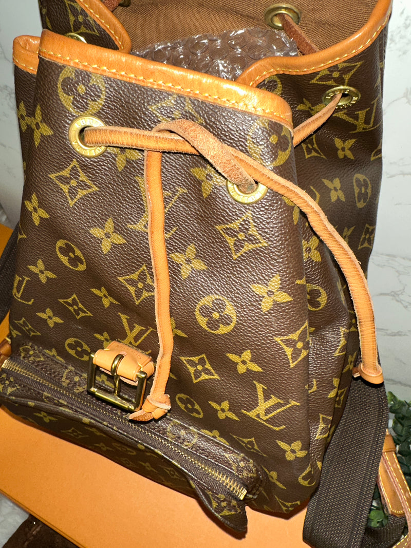 LOUIS VUITTON Monogram Montsouris GM