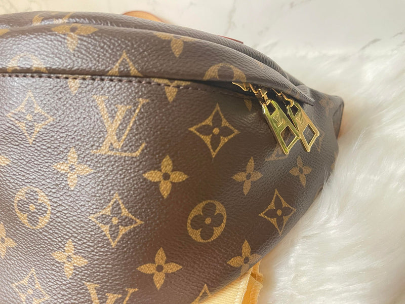 LOUIS VUITTON Bumbag Monogram Canvas