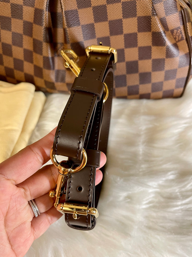 LOUIS VUITTON Damier Ebene Trevi PM