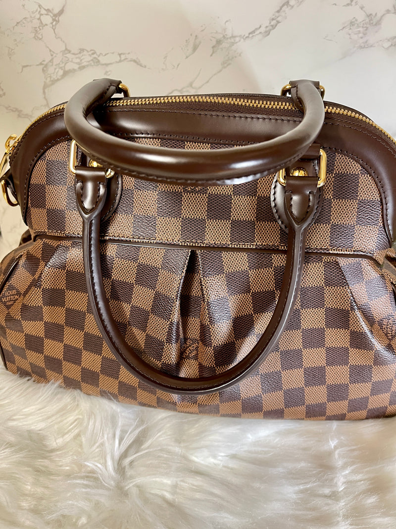 LOUIS VUITTON Damier Ebene Trevi PM