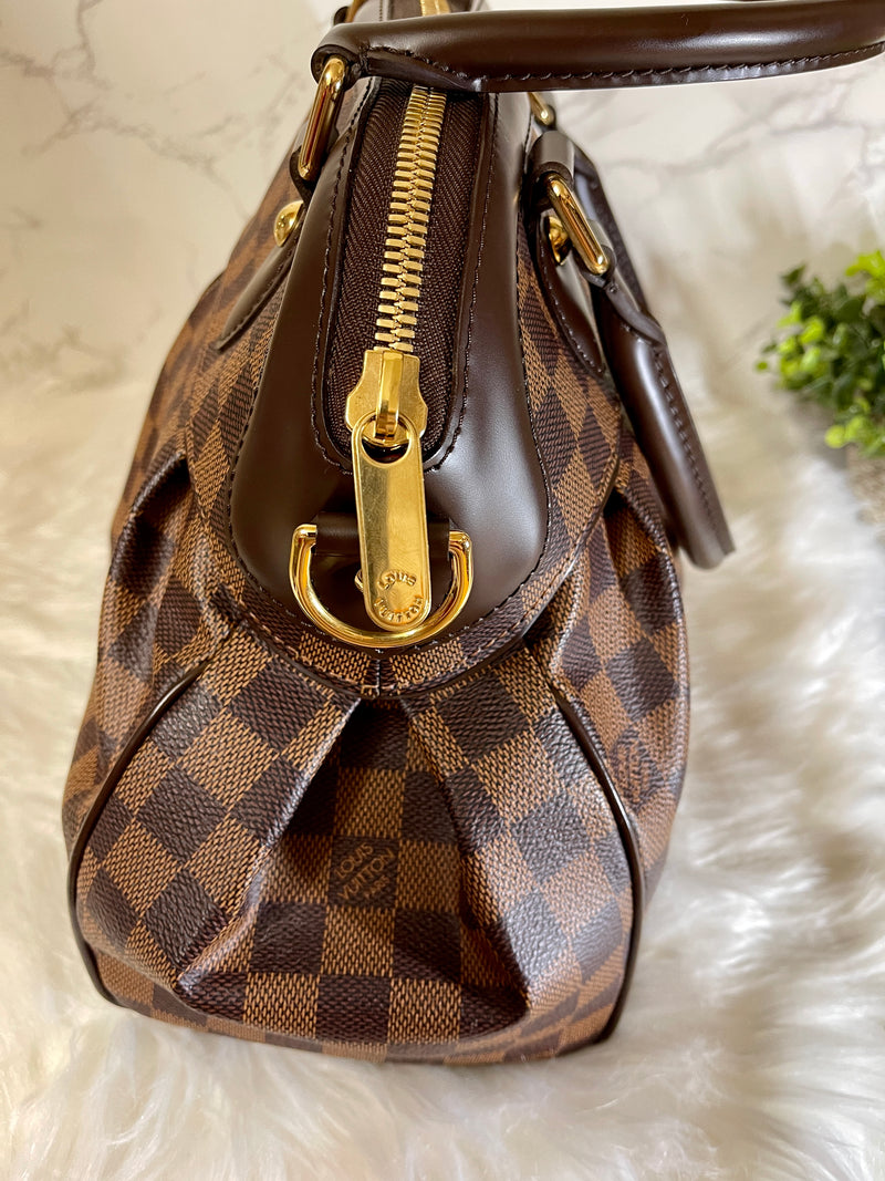 LOUIS VUITTON Damier Ebene Trevi PM