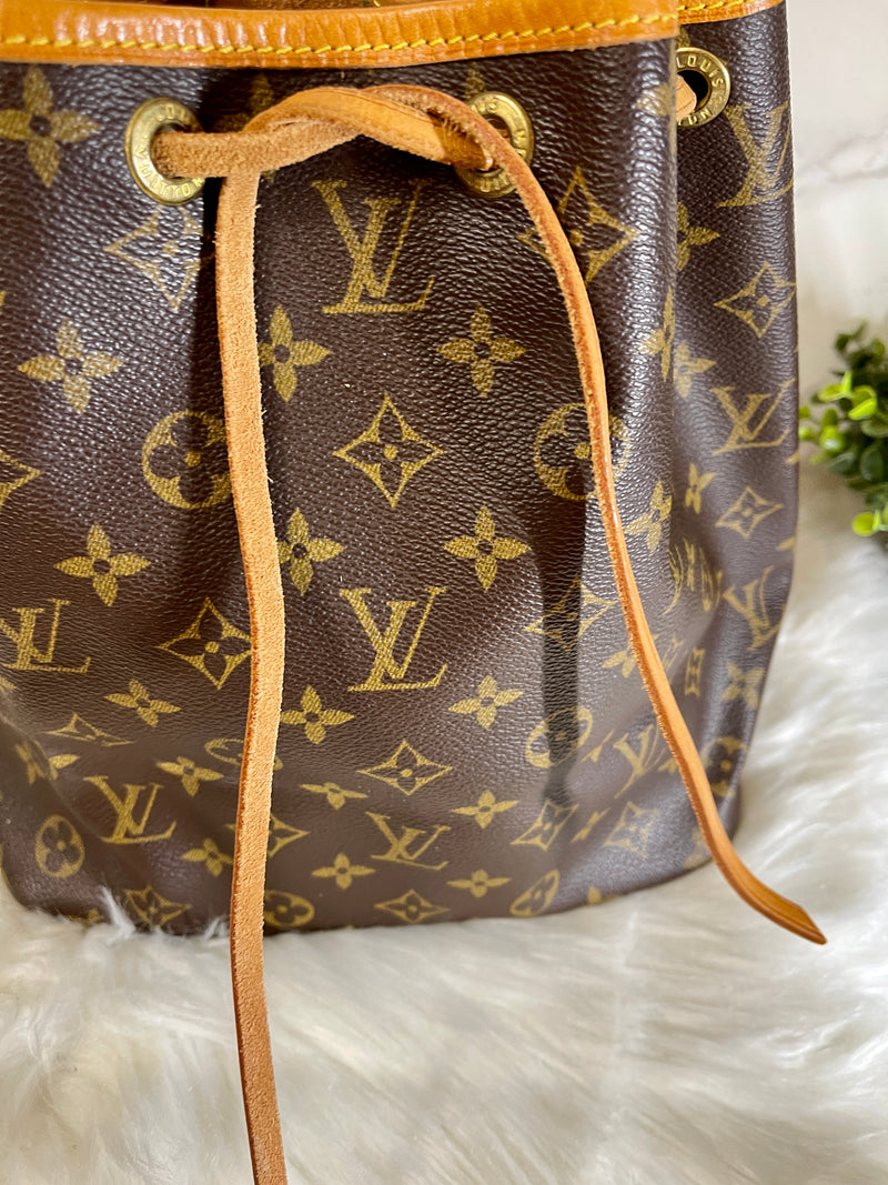 LOUIS VUITTON Monogram Canvas Petit Noe