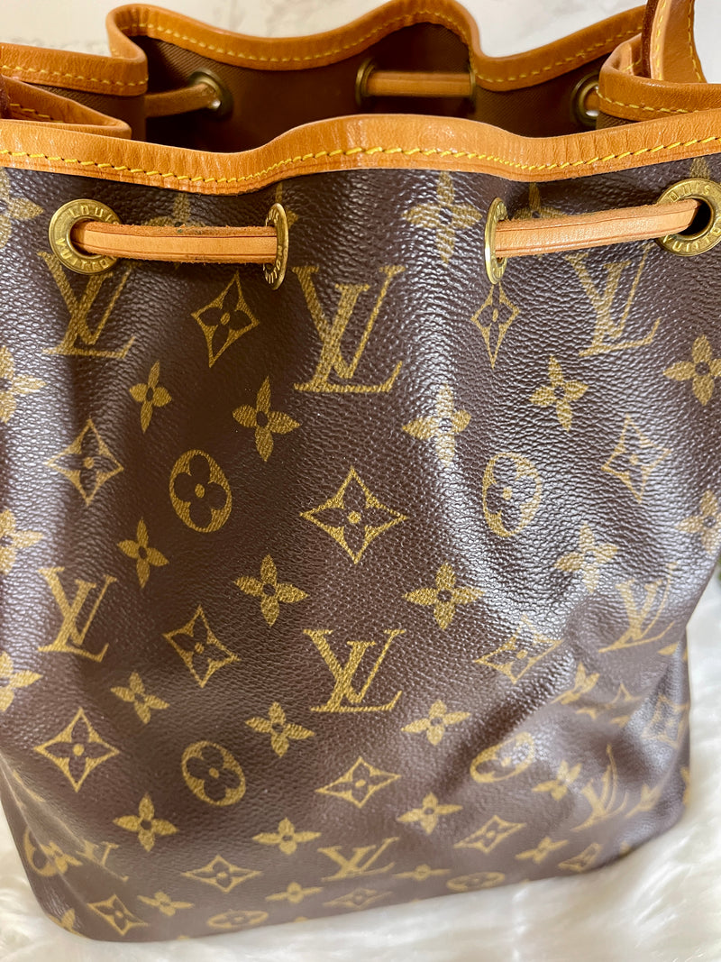 LOUIS VUITTON Monogram Canvas Petit Noe