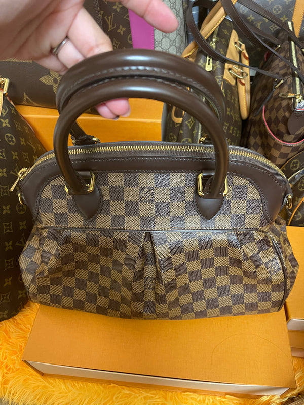 LOUIS VUITTON Damier Ebene Trevi PM