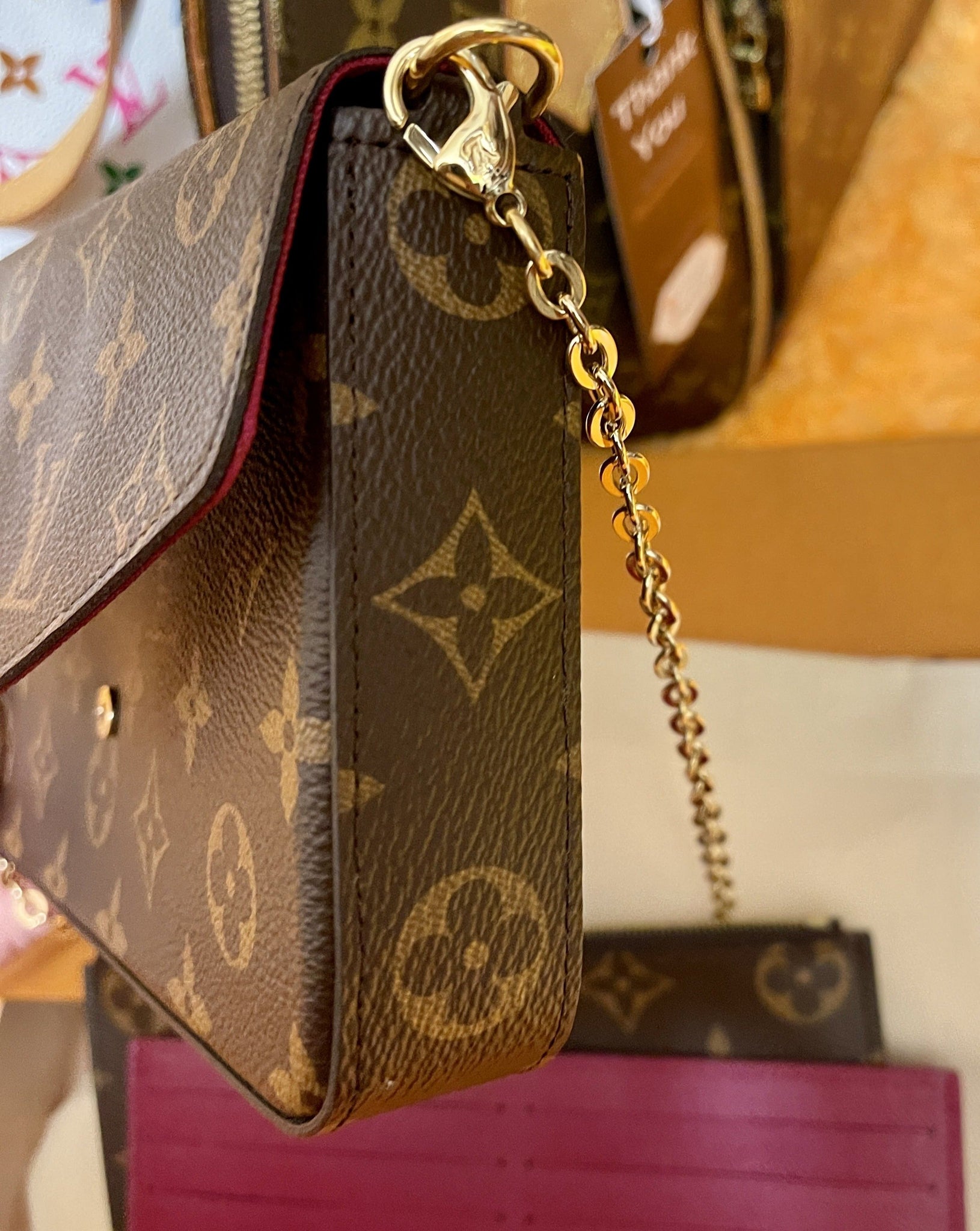 Louis Vuitton Pochette Felicie (With Removable Zipped Pocket and 8