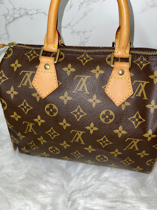 LOUIS VUITTON Speedy 25 Monogram