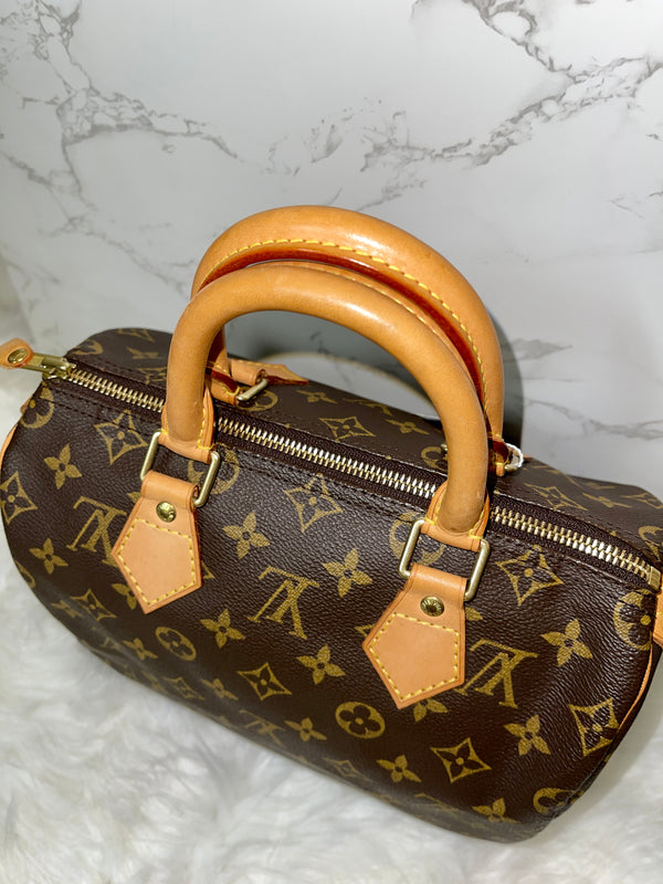 LOUIS VUITTON Speedy 25 Monogram