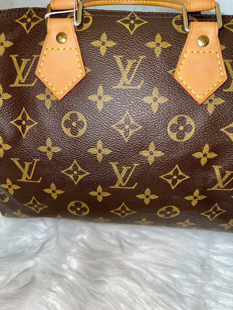 LOUIS VUITTON Speedy 25 Monogram