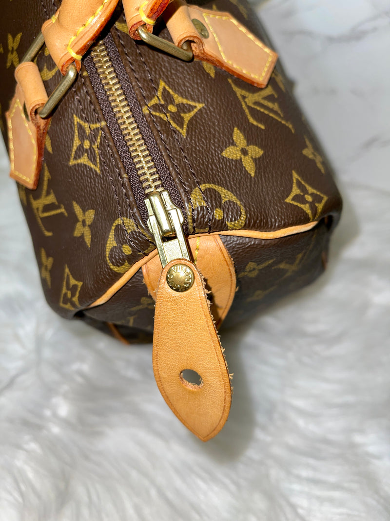 LOUIS VUITTON Speedy 25 Monogram