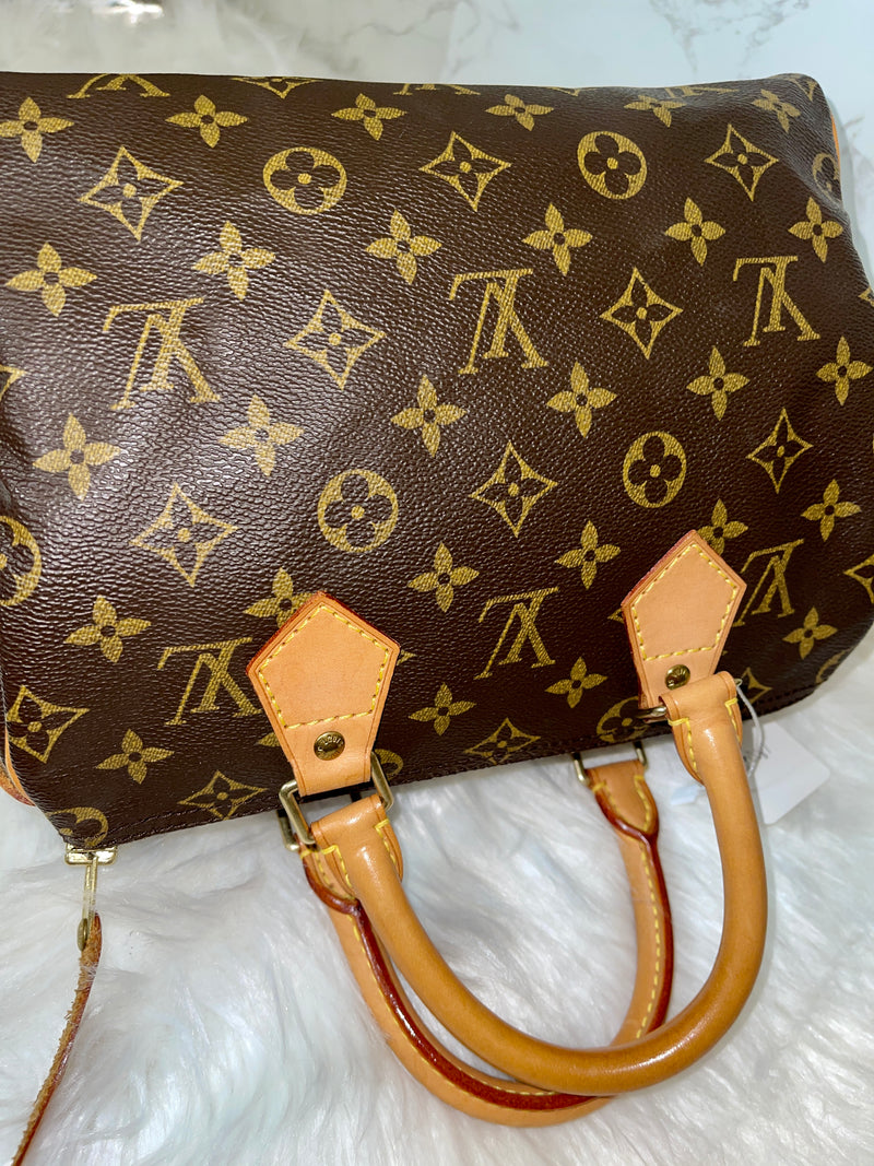 LOUIS VUITTON Speedy 25 Monogram