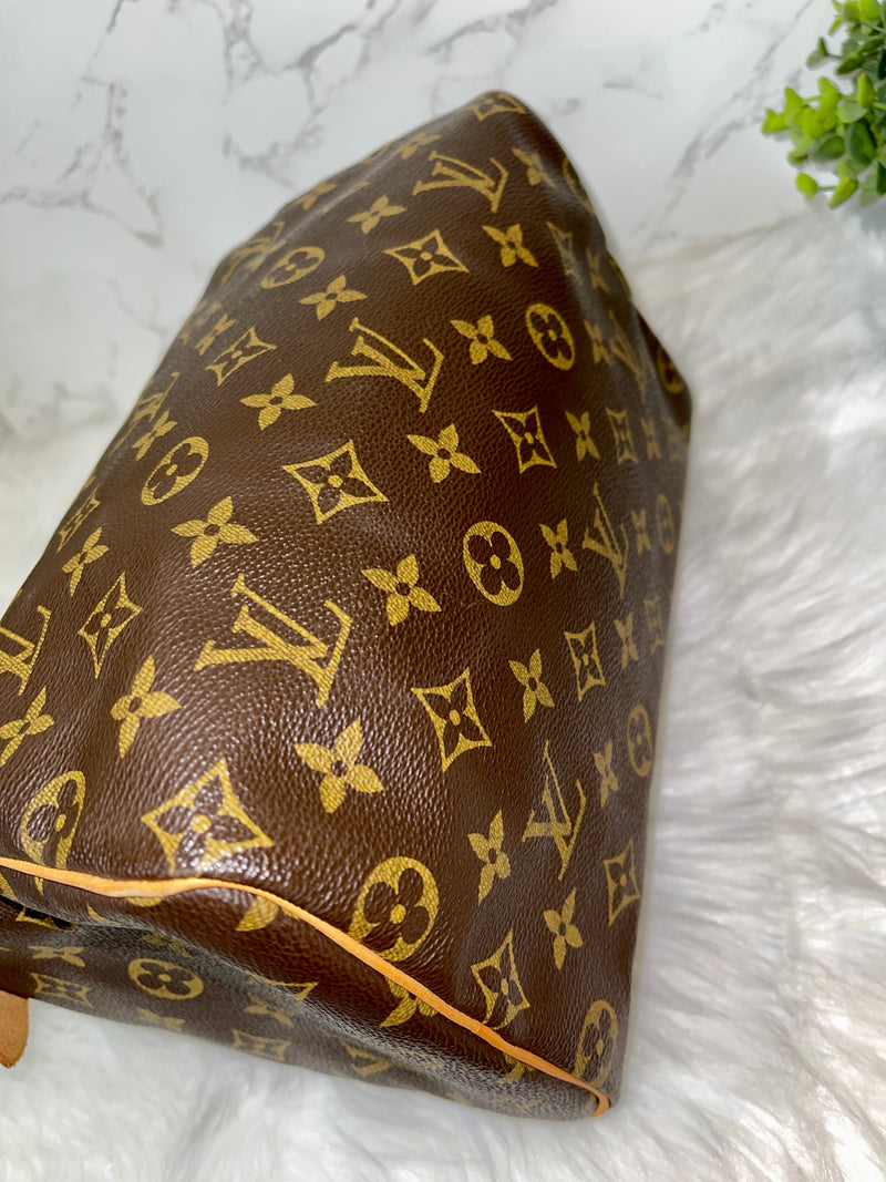 LOUIS VUITTON Speedy 25 Monogram